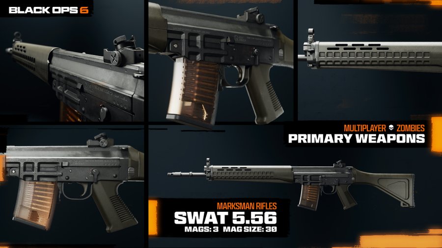 Call of Duty Black Ops 6: SWAT 5.56 DMR