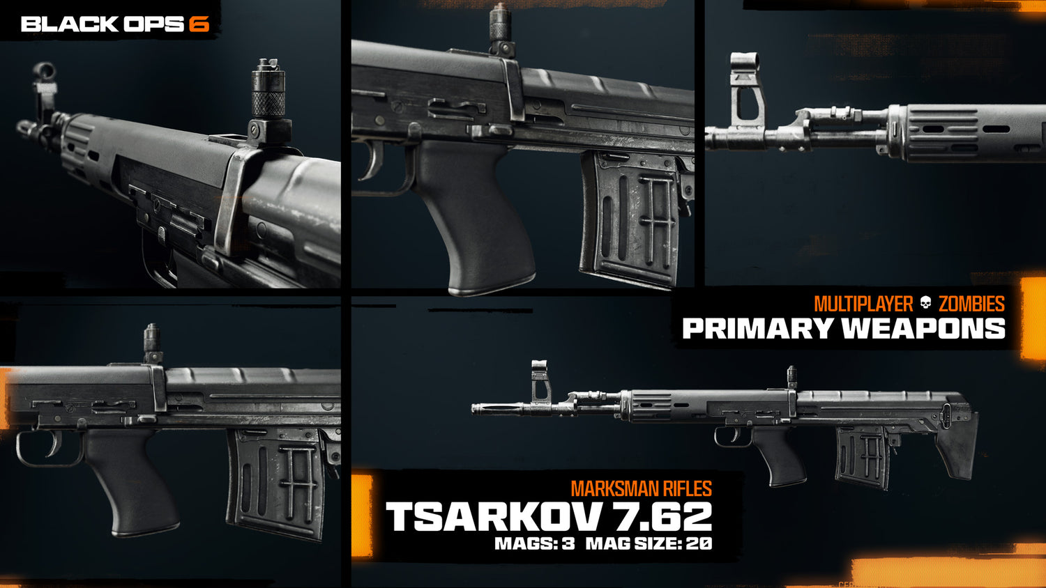 Call of Duty Black Ops 6: Tsarkov 7.62 DMR