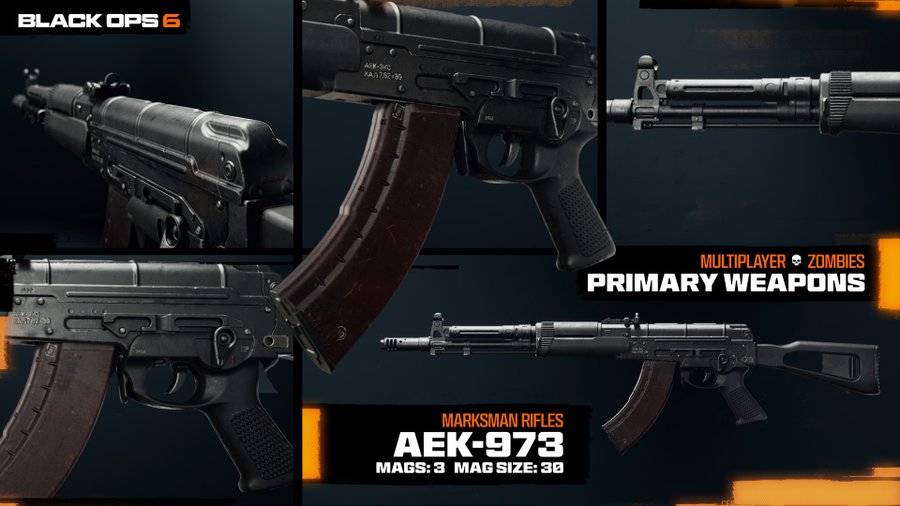 Call of Duty Black Ops 6: AEK-973 DMR