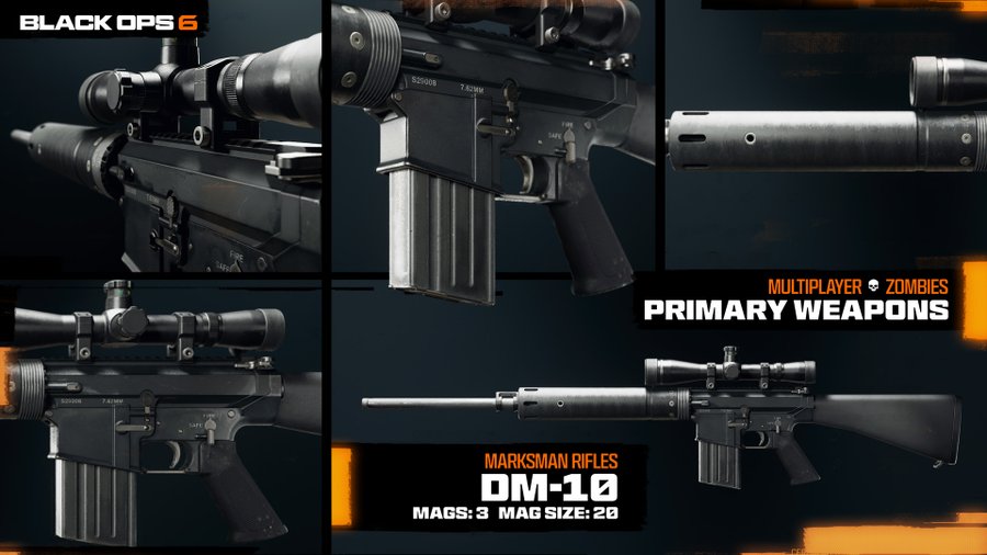 Call of Duty Black Ops 6: DM-10 DMR